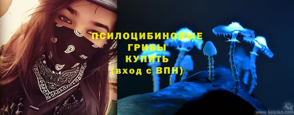 молекула духа Верея