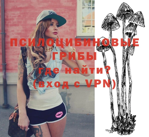 молекула духа Верея