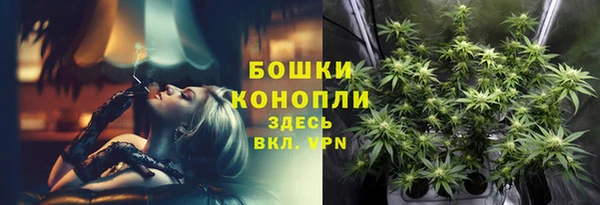 молекула духа Верея