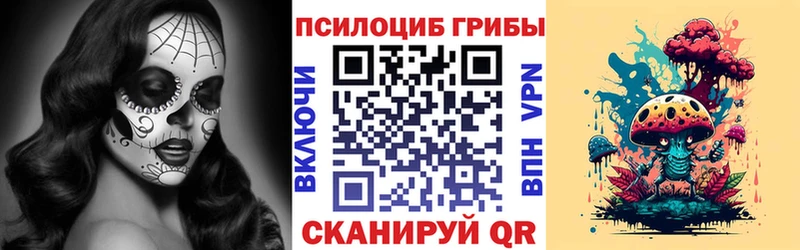 МЕГА tor  Волхов  это Telegram  Галлюциногенные грибы Psilocybe 